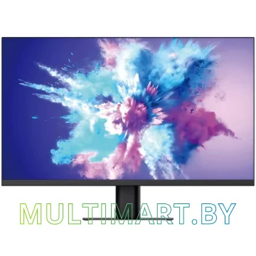Монитор NPC MQ2704